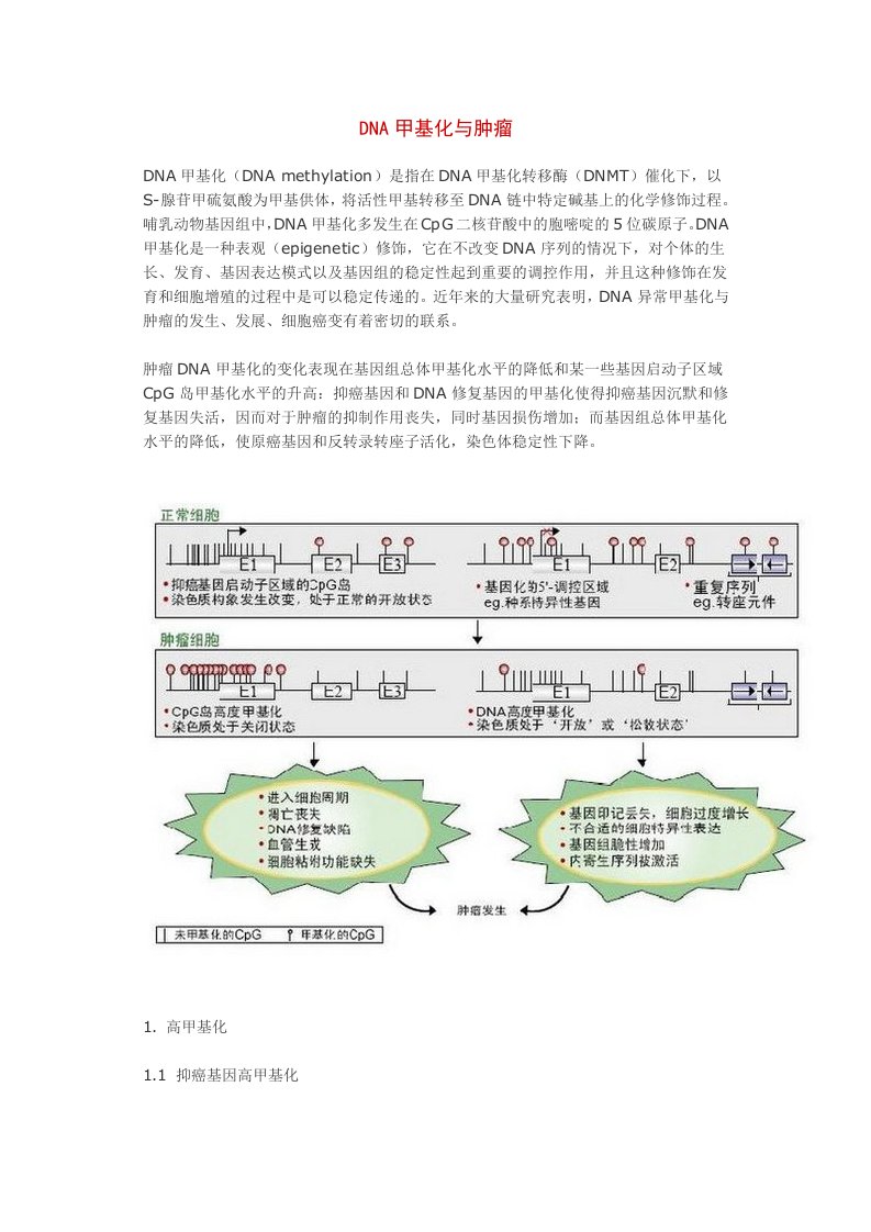 DNA甲基化与肿瘤