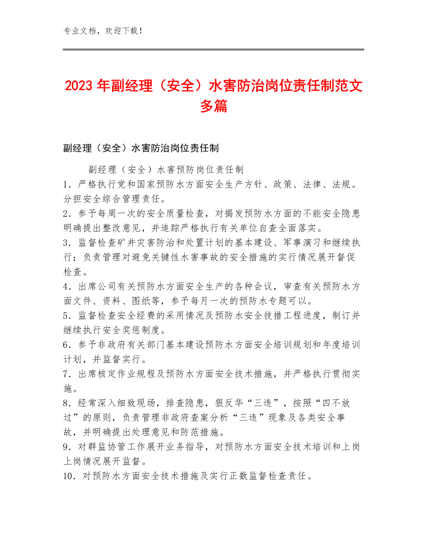 2023年副经理（安全）水害防治岗位责任制范文多篇