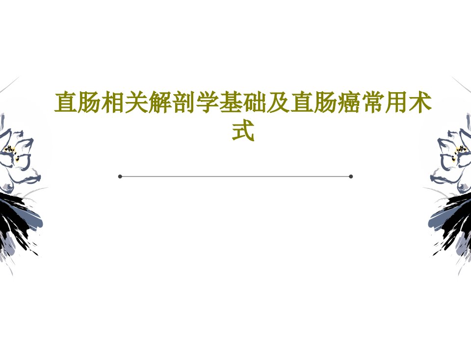 直肠相关解剖学基础及直肠癌常用术式-ppt课件