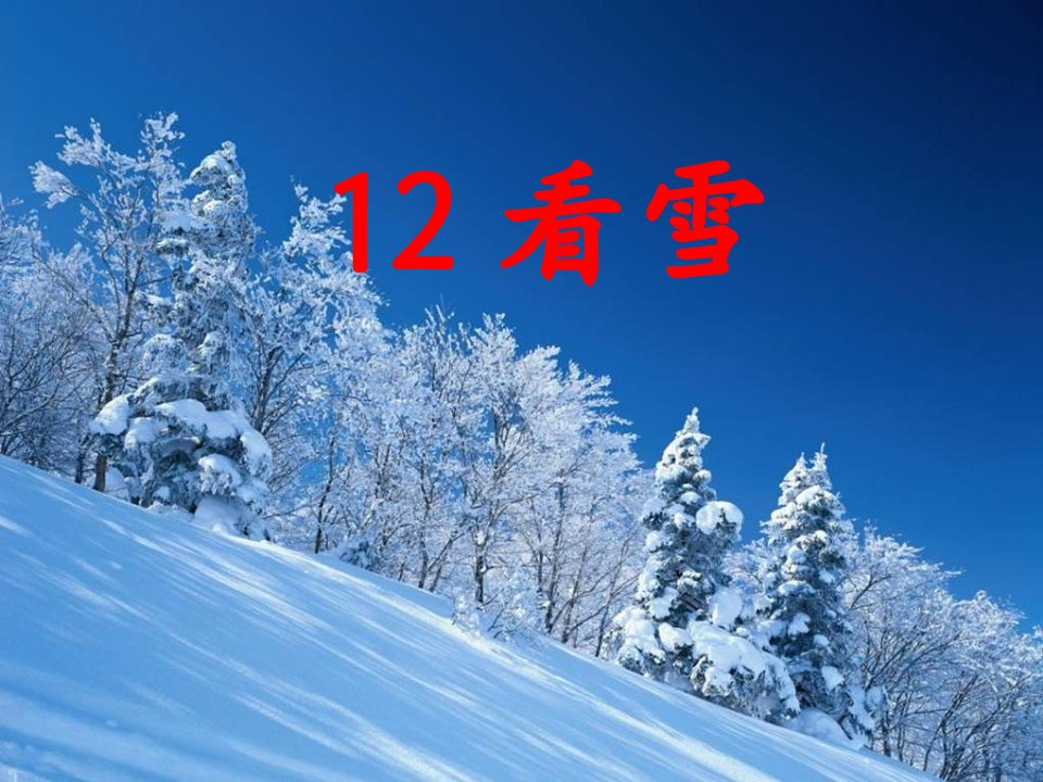 人教版小学语文二年级上册《看雪》