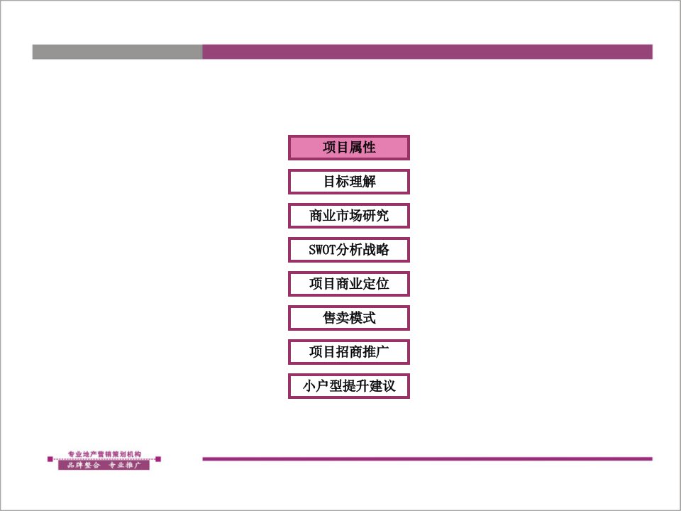 商业项目策划报告课件