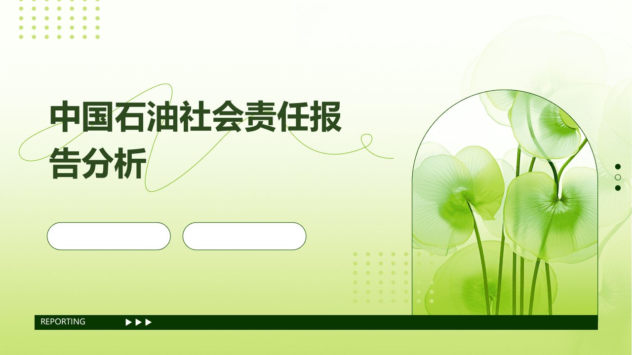 中国石油社会责任报告分析