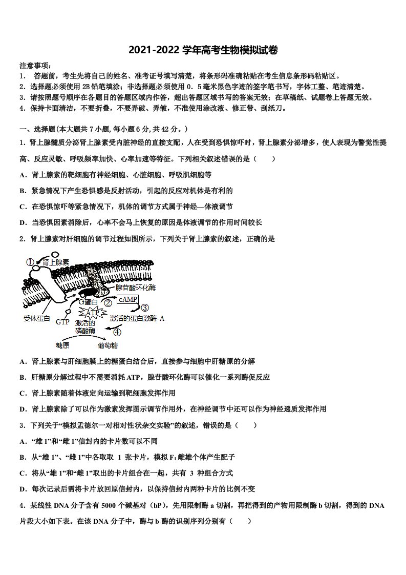 张家界市一中2022年高三最后一模生物试题含解析