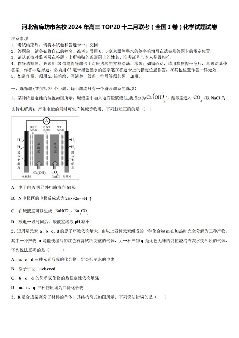 河北省廊坊市名校2024年高三TOP20十二月联考(全国Ⅰ卷)化学试题试卷含