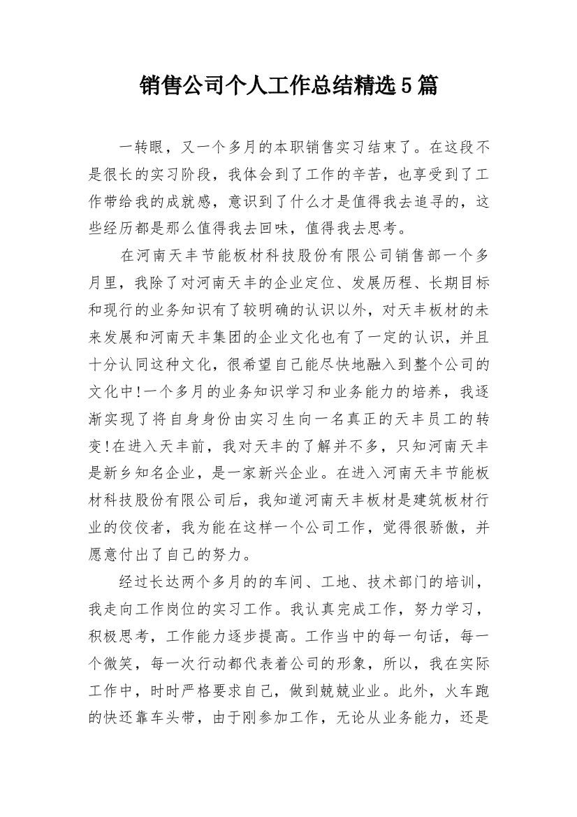 销售公司个人工作总结精选5篇