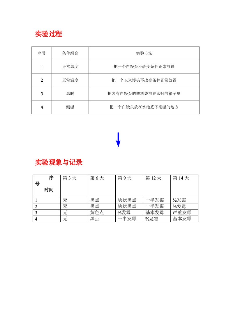 馒头的发霉条件(实验过程)