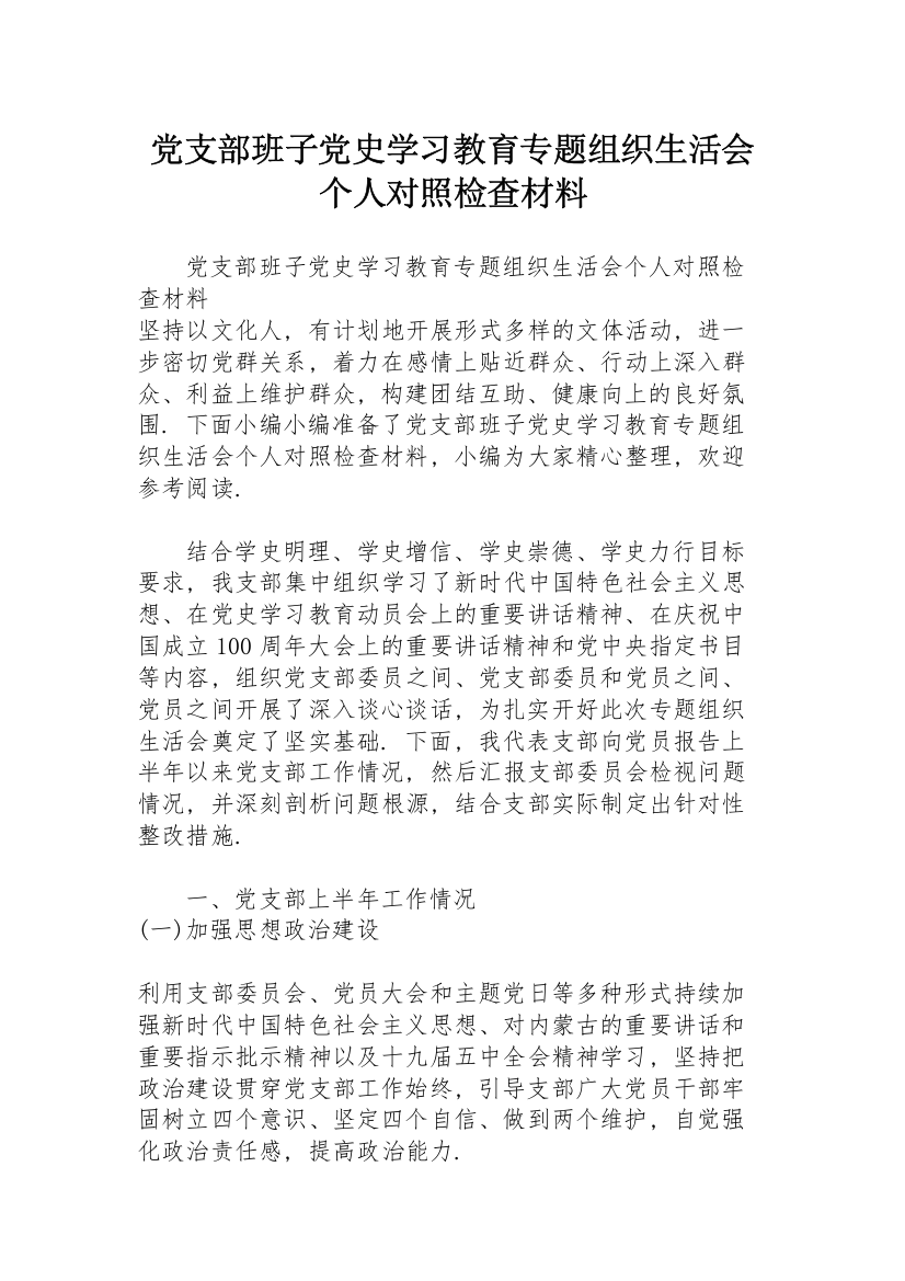 党支部班子党史学习教育专题组织生活会个人对照检查材料