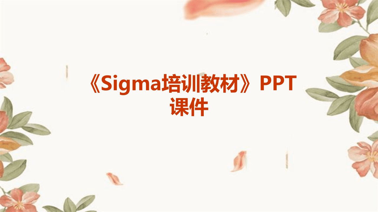 《Sigma培训教材》课件