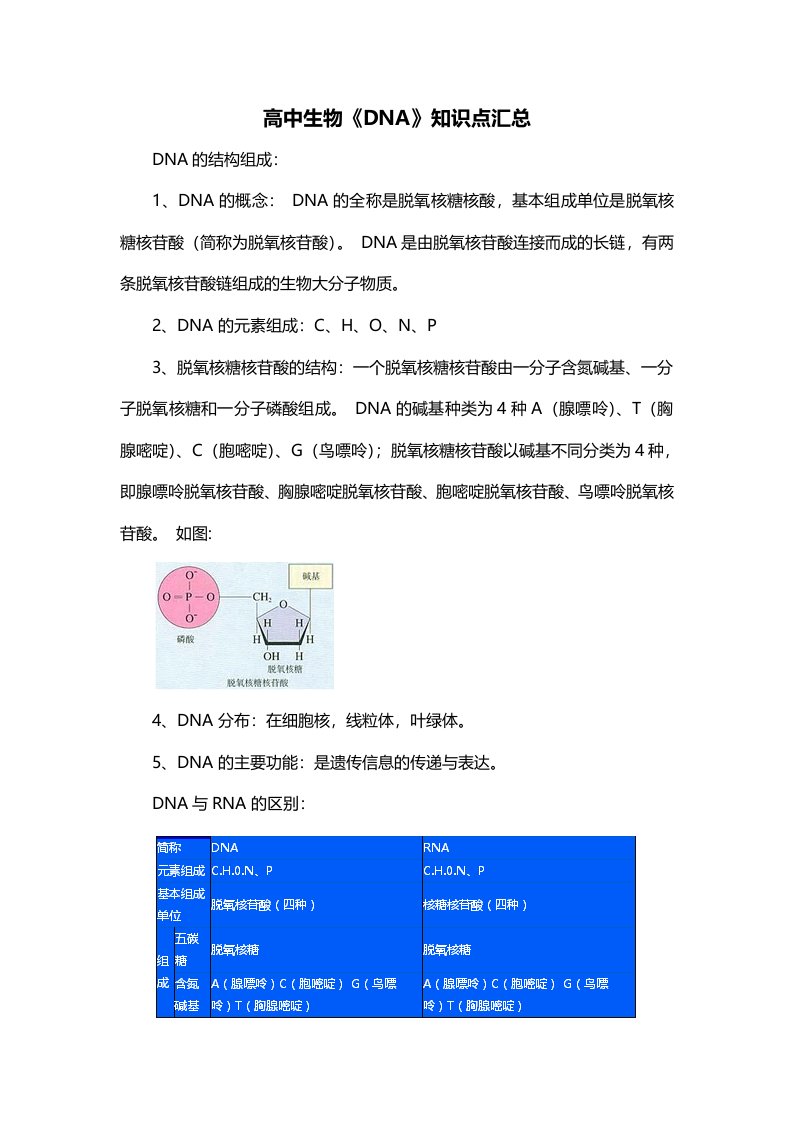 高中生物DNA知识点汇总