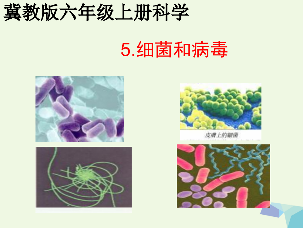 【精编】六年级科学上册