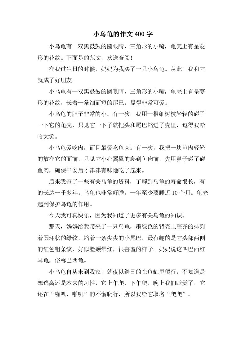 小乌龟的作文400字