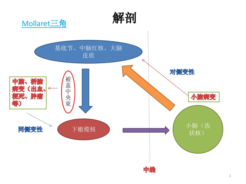 肥大性下橄榄核变性ppt课件