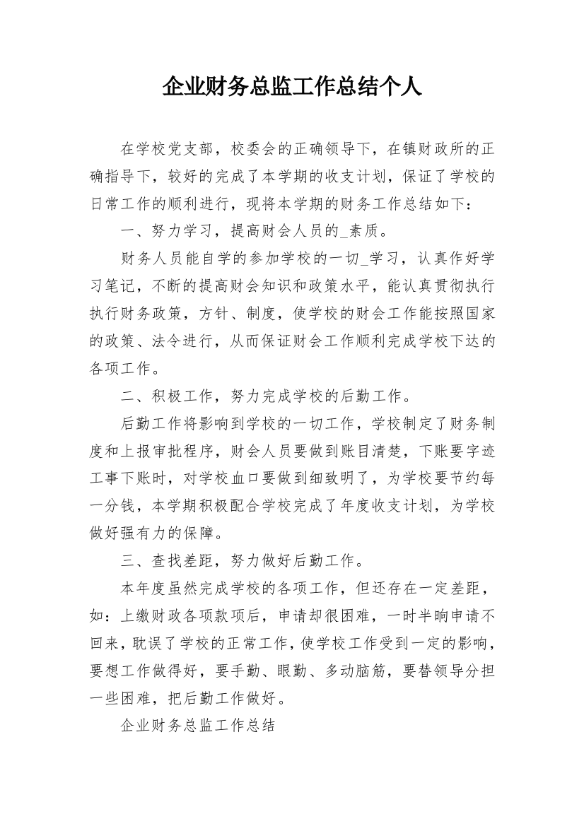 企业财务总监工作总结个人