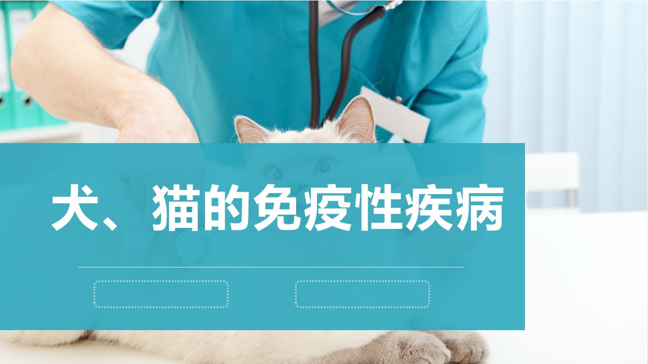 犬猫的免疫性疾病宠物医生课件