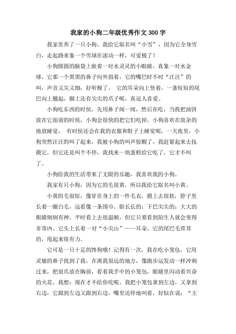 我家的小狗二年级作文300字