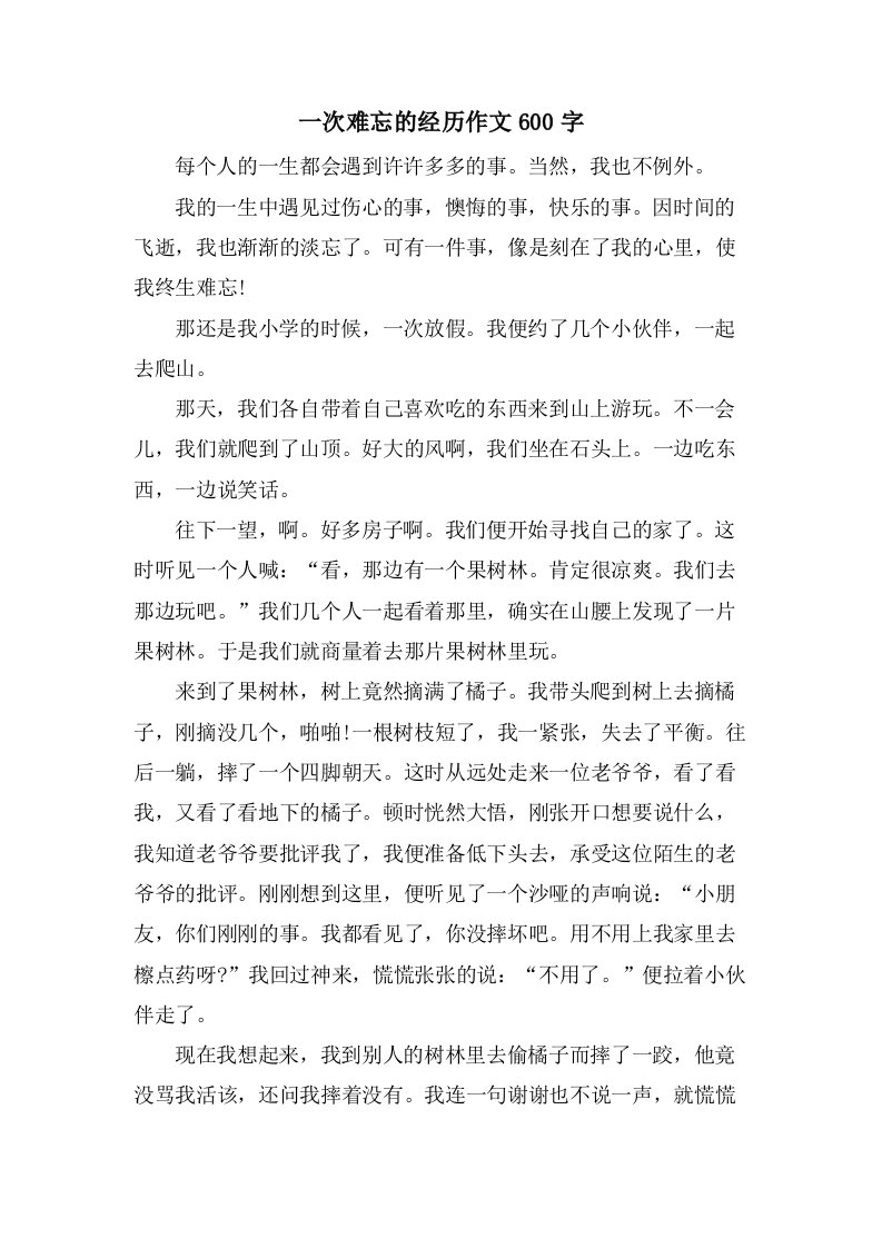 一次难忘的经历作文600字