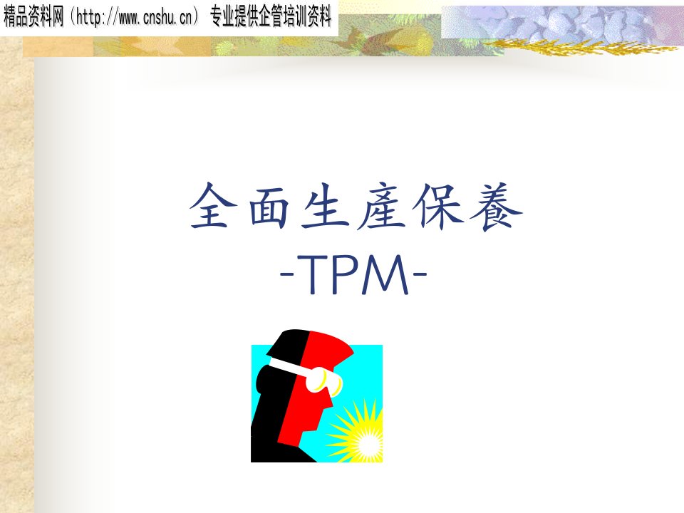 全面生产保养TPM(PPT30页)