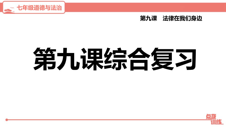 人教部编版七年级下册道德与法治第九课综合复习课件