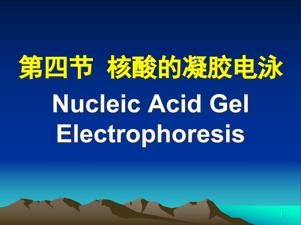 分子生物学实验技术(核酸的凝胶电泳)ppt课件