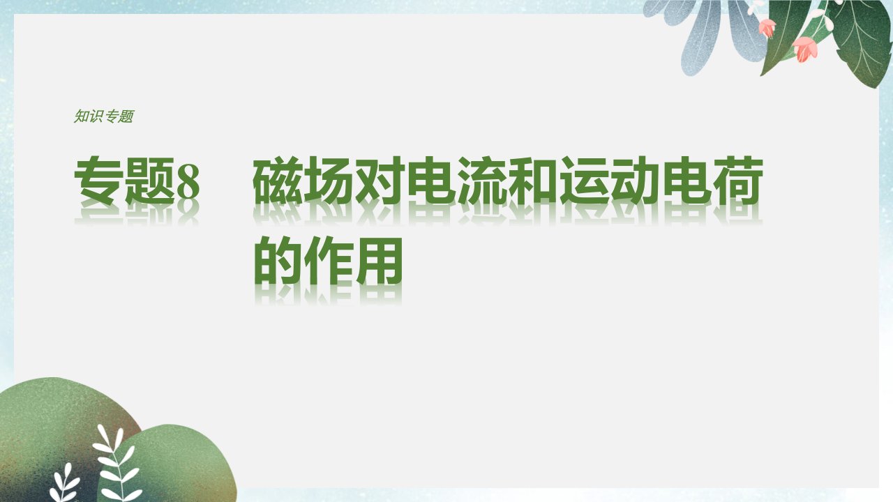 高考物理二轮复习专题8磁吃电流和运动电荷的作用ppt课件