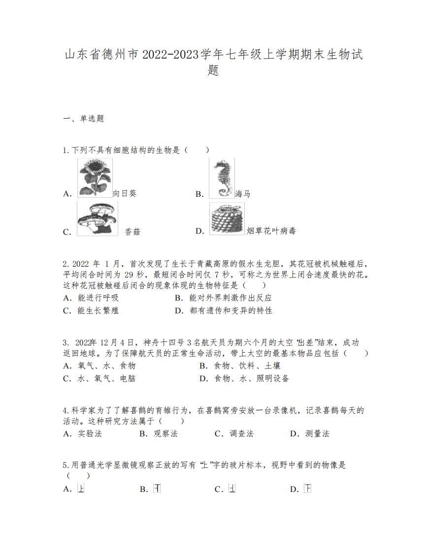 山东省德州市2022-2023学年七年级上学期期末生物试题