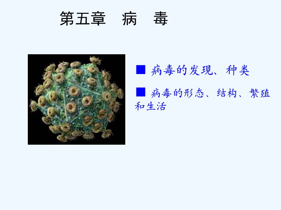 人教初中生物八上《第5单元