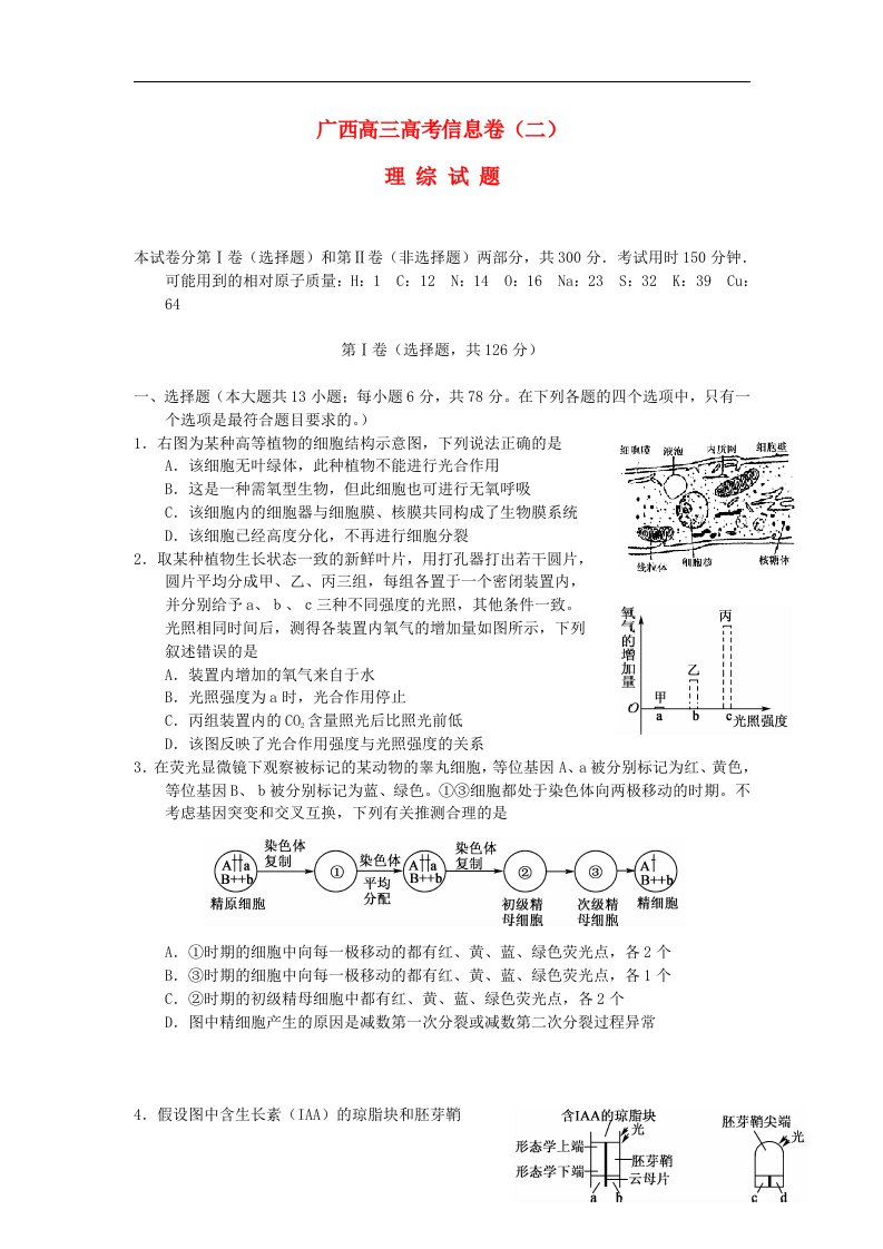 广西高三理综信息试题（二）