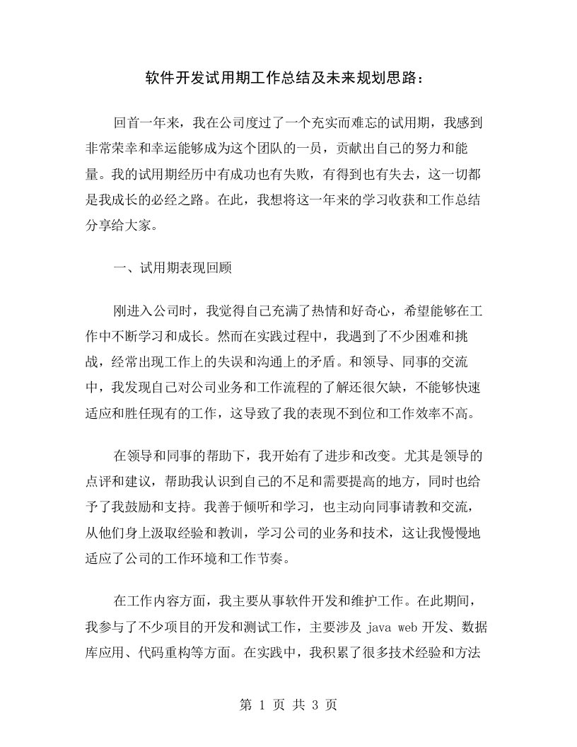 软件开发试用期工作总结及未来规划思路