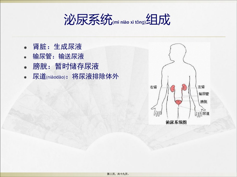 医学专题泌尿系统医院感染防控