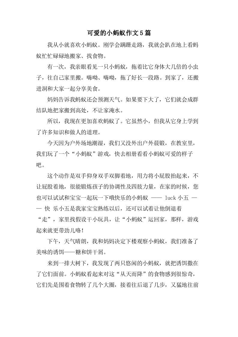 可爱的小蚂蚁作文5篇