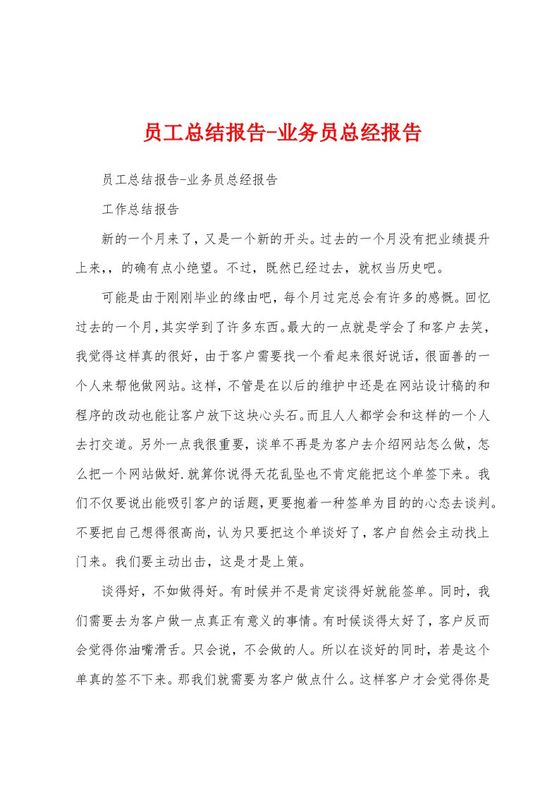 员工总结报告业务员总经报告