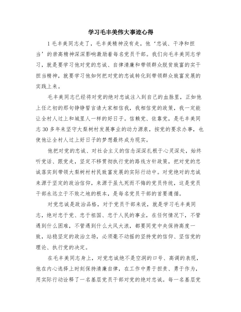 学习毛丰美伟大事迹心得