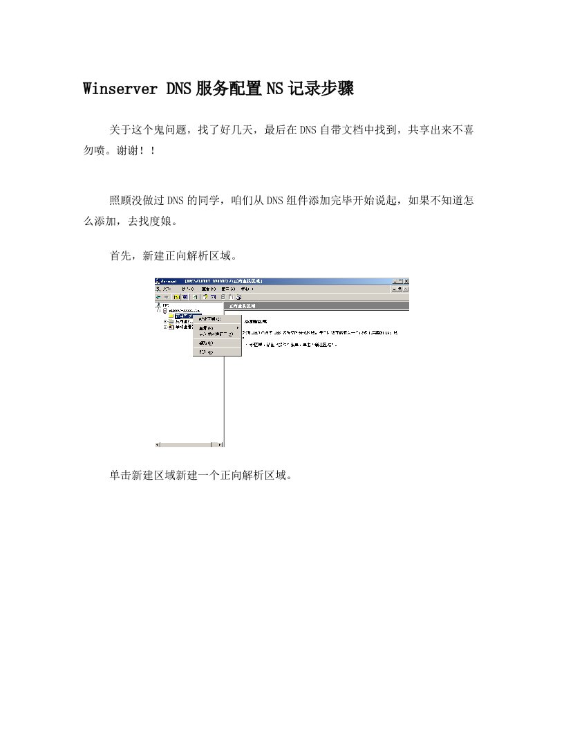 Server2003+DNS服务配置NS记录