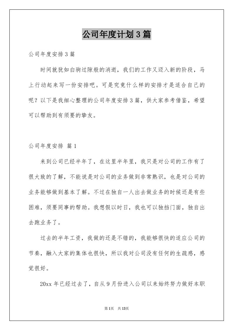 公司年度计划3篇优质