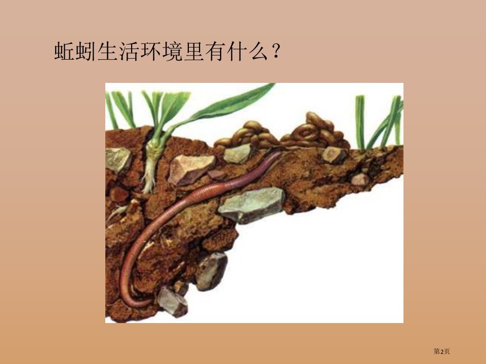 教科版科学三年级2.4蚯蚓市公开课一等奖省优质课获奖课件