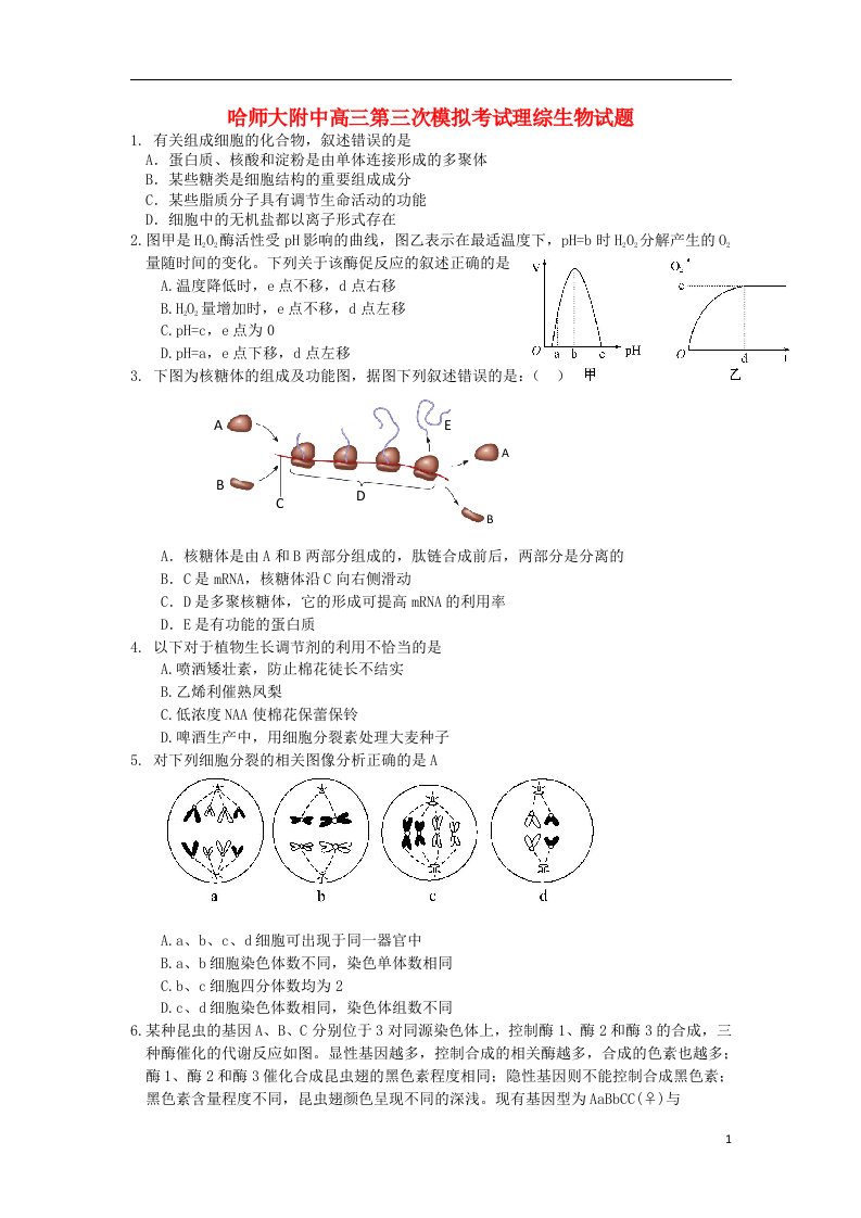 黑龙江省哈师大附中高三理综（生物部分）第三次模拟考试试题新人教版