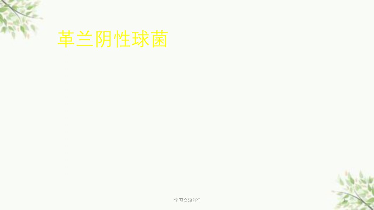 革兰氏阴性球菌医学课件