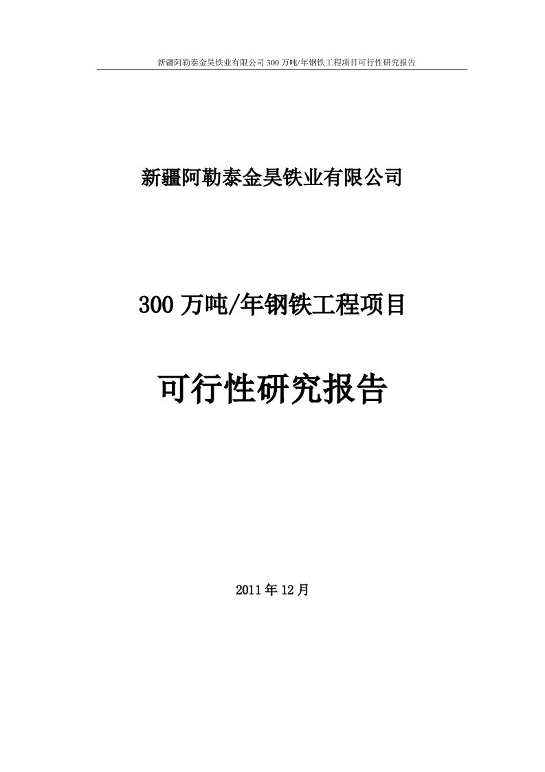 300万吨钢铁工程项目可行性研究报告