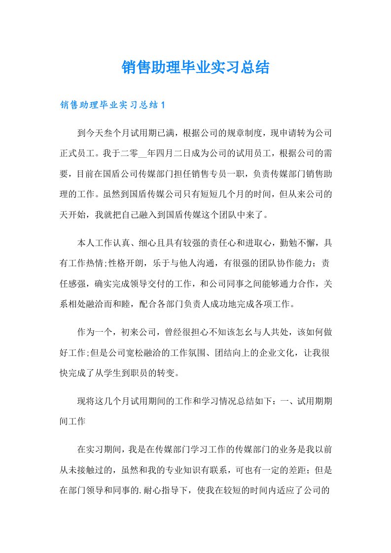 销售助理毕业实习总结