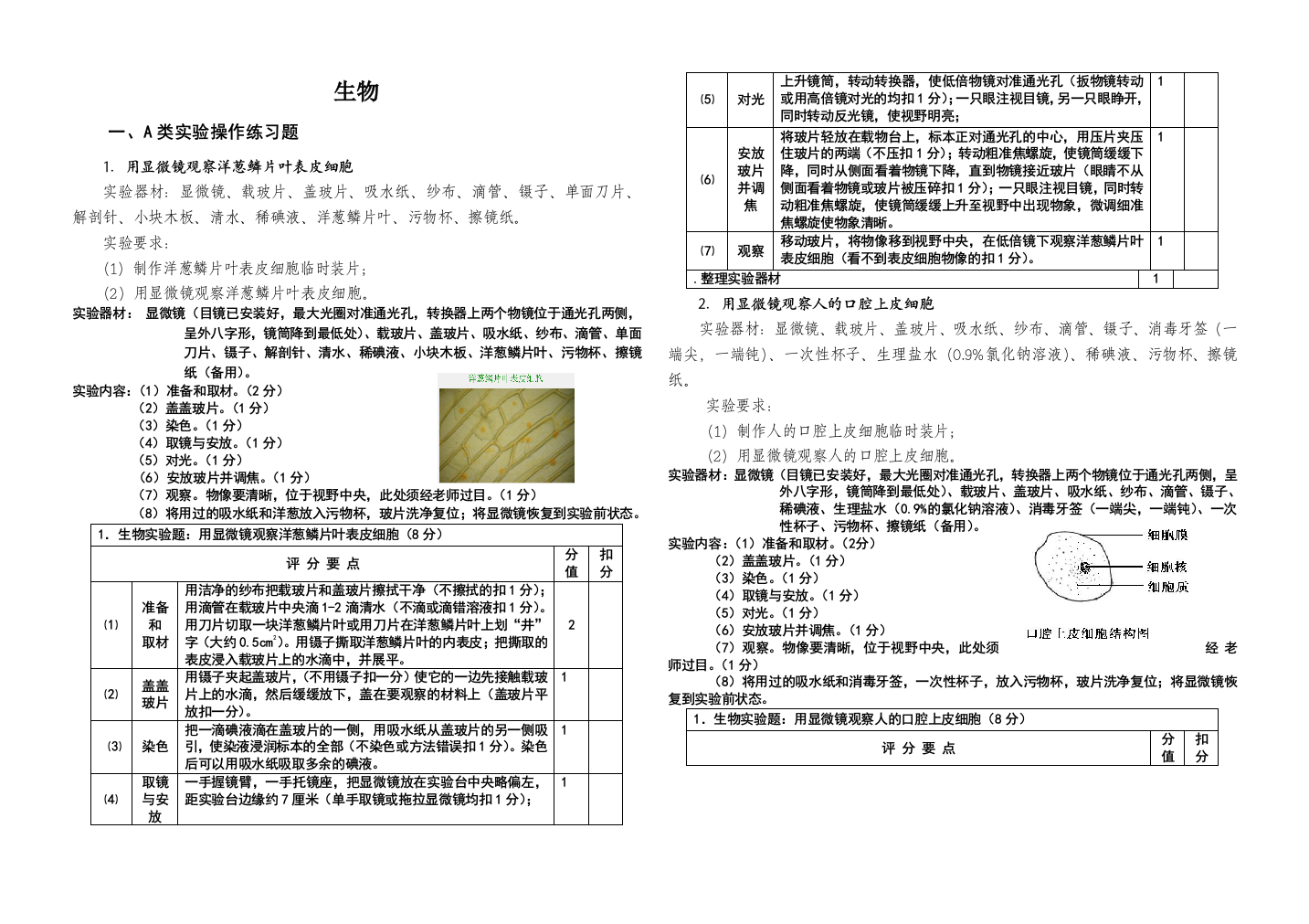 生物实验及评分标准