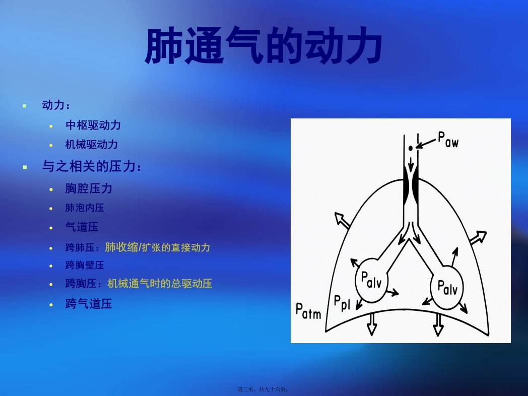 呼吸力学导向的通气设置