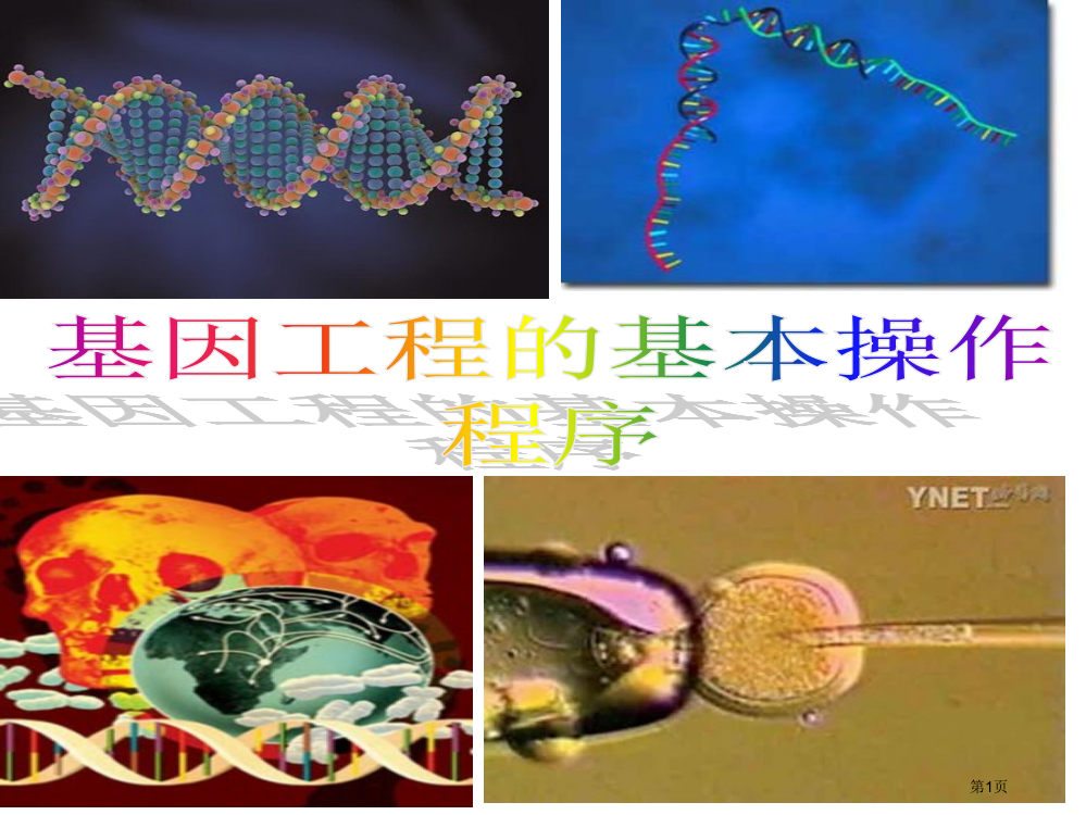 生物：12《基因工程的基本操作程序》ppt(新人教版选修3)市公开课一等奖省赛课获奖PPT课件