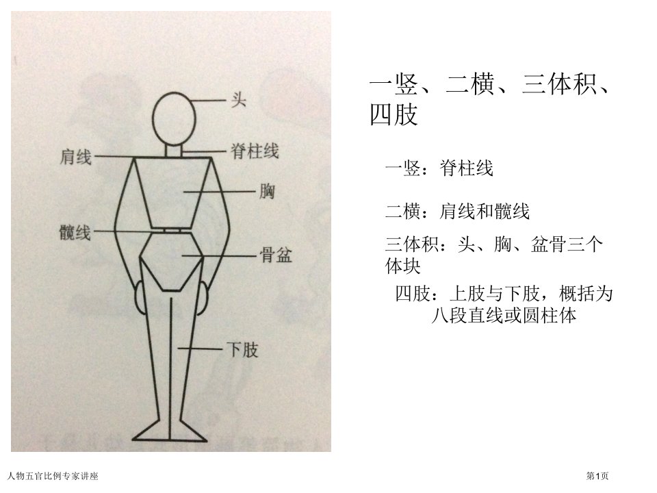 人物五官比例课件PPT