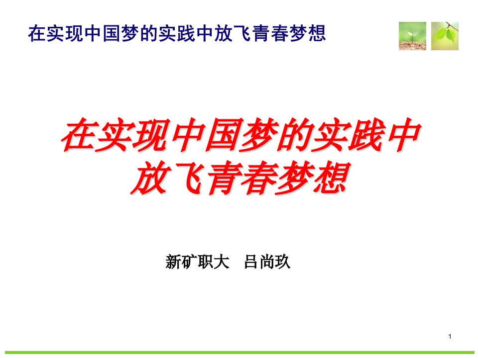 在实现中国梦的实践中放飞青春梦想