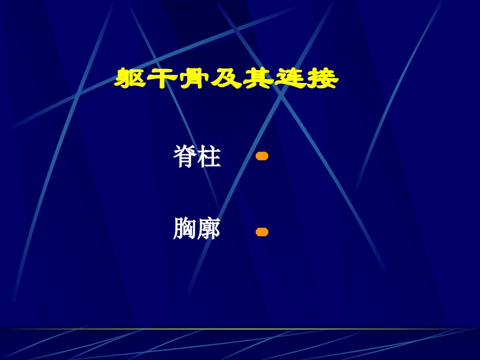 人体骨骼躯干骨及其连接课件