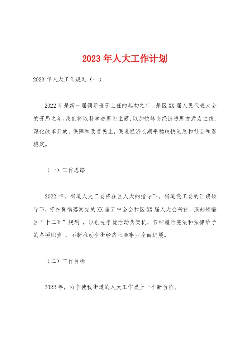 2023年人大工作计划