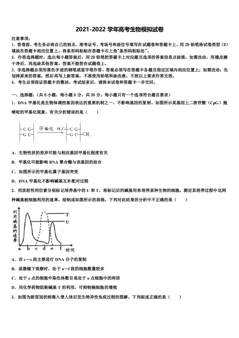 2022届河南省洛阳市偃师高中高三考前热身生物试卷含解析