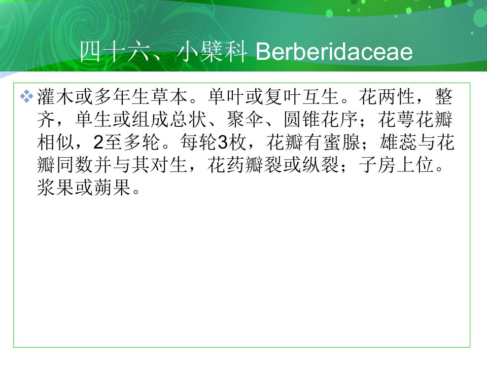 四十六小檗科Berberidaceae