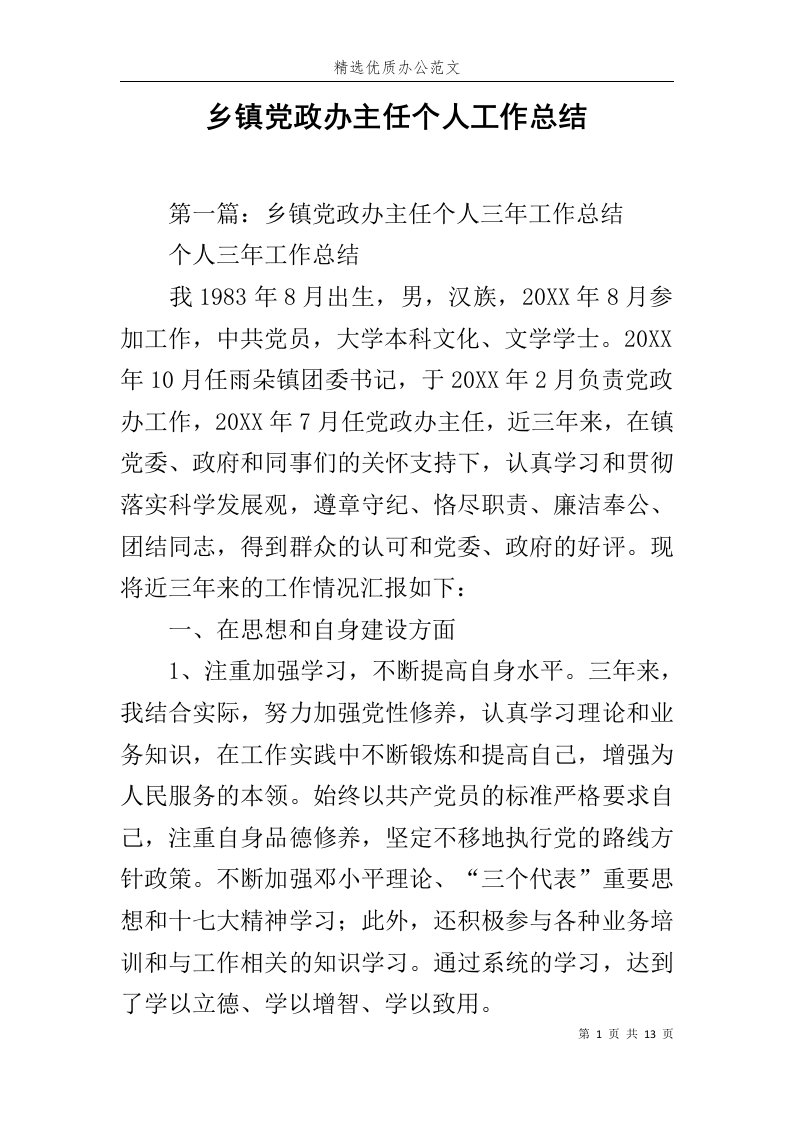 乡镇党政办主任个人工作总结范文