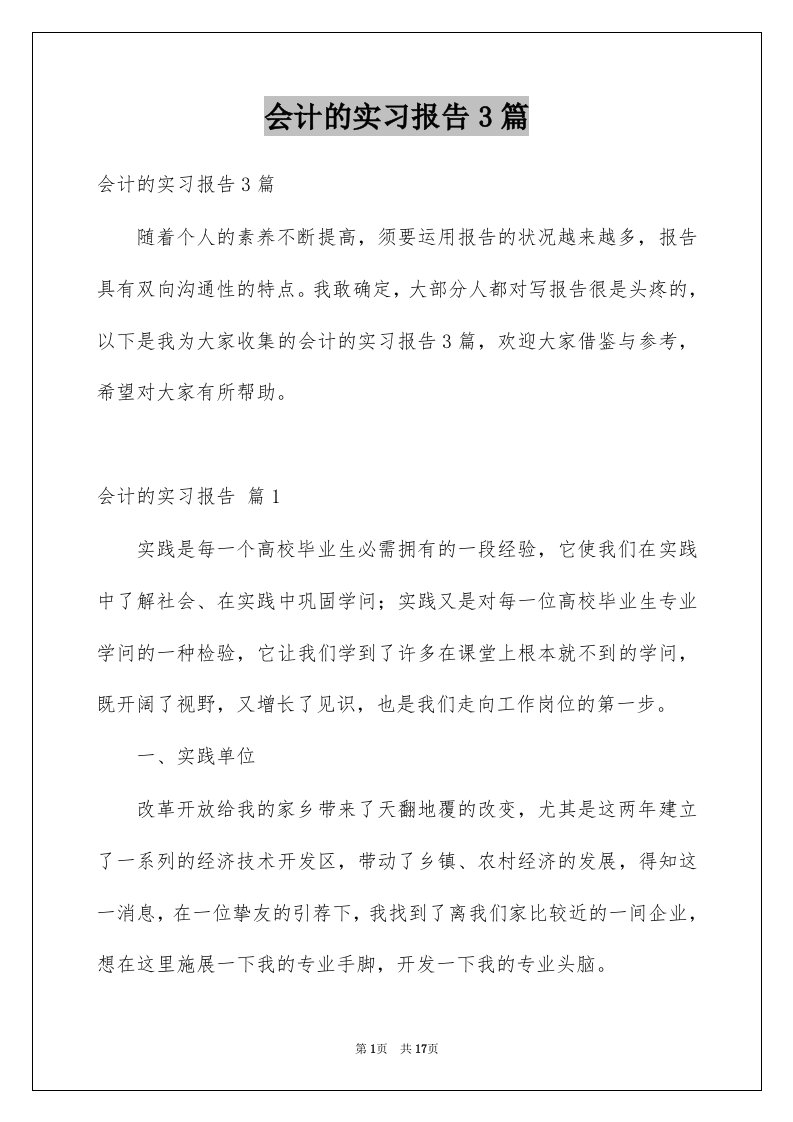 会计的实习报告3篇范本3